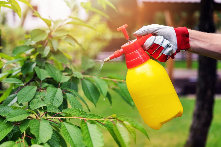 Agronomic Maintenance