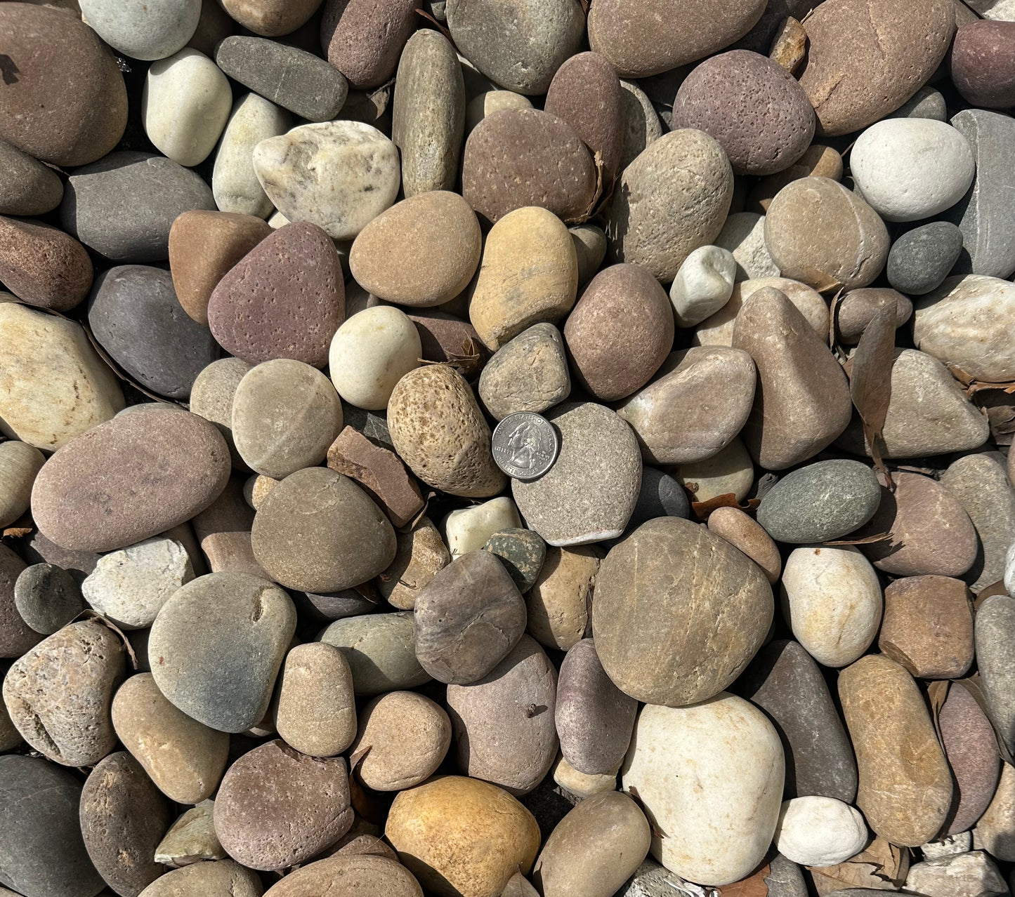 Amazon Mixed Beach Pebble 40lb Bag