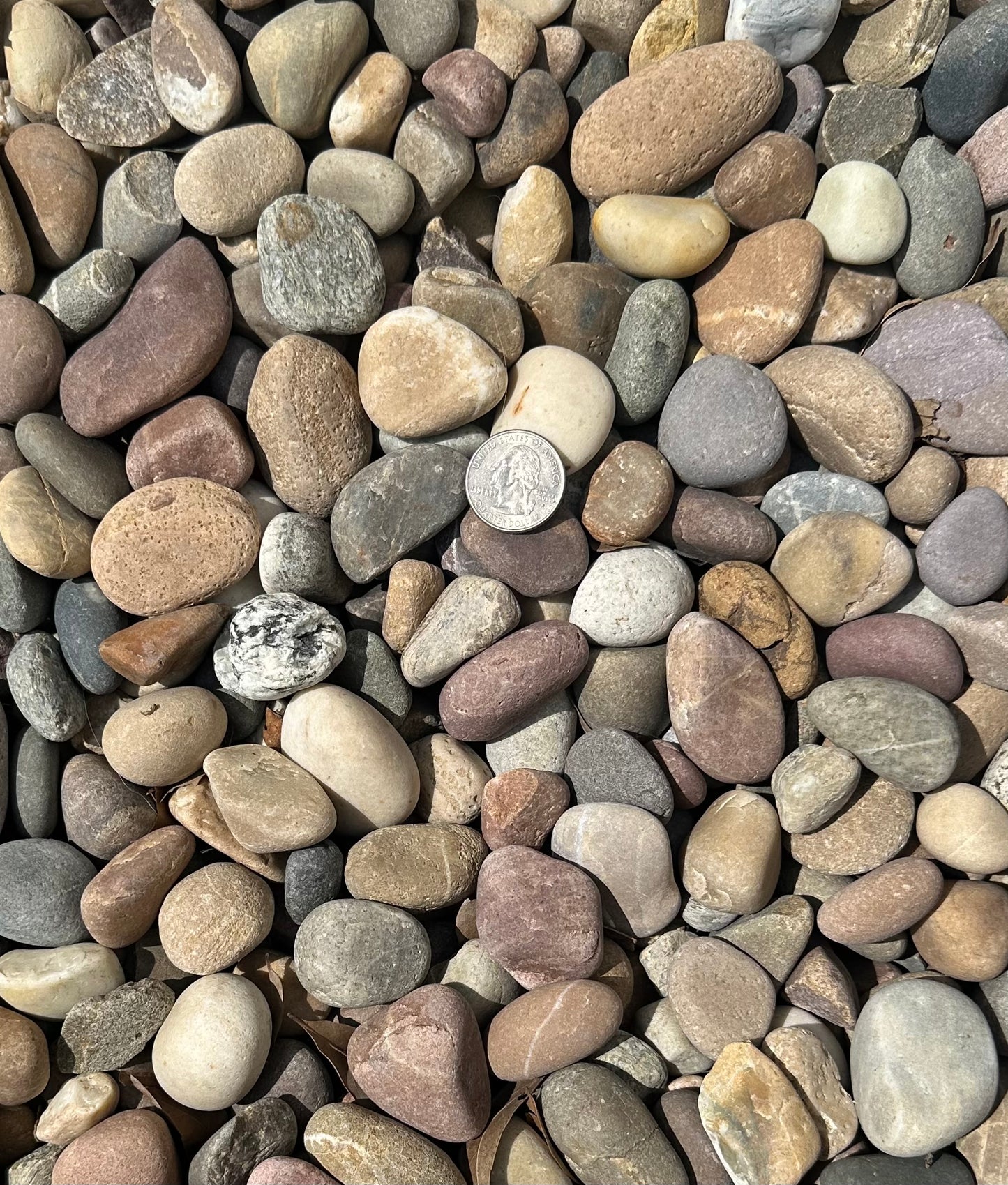 Amazon Mixed Beach Pebble 40lb Bag