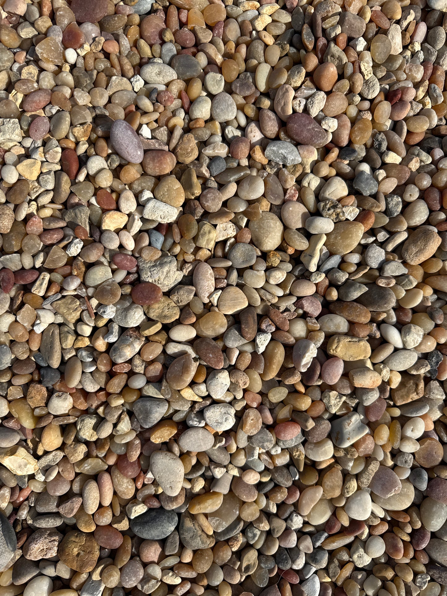 Rainbow River Rock 1.25"