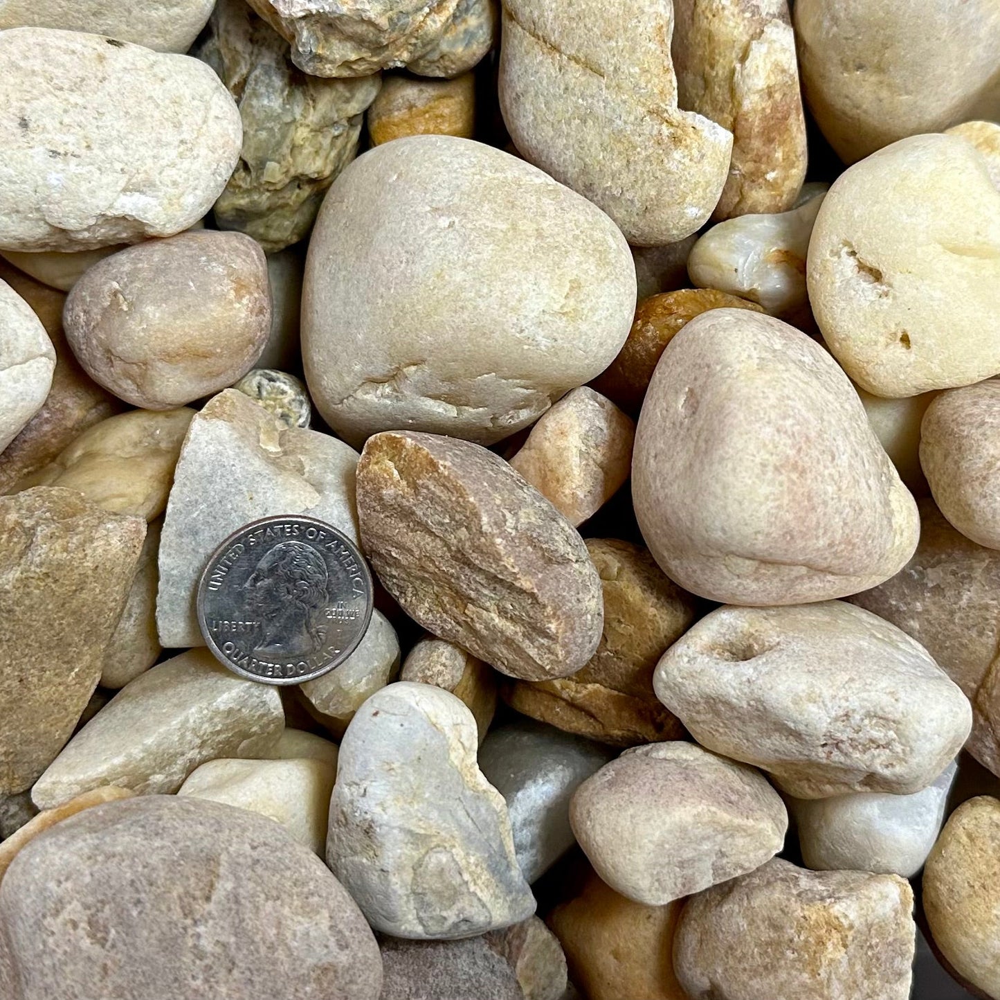 White River Rock 1.5"