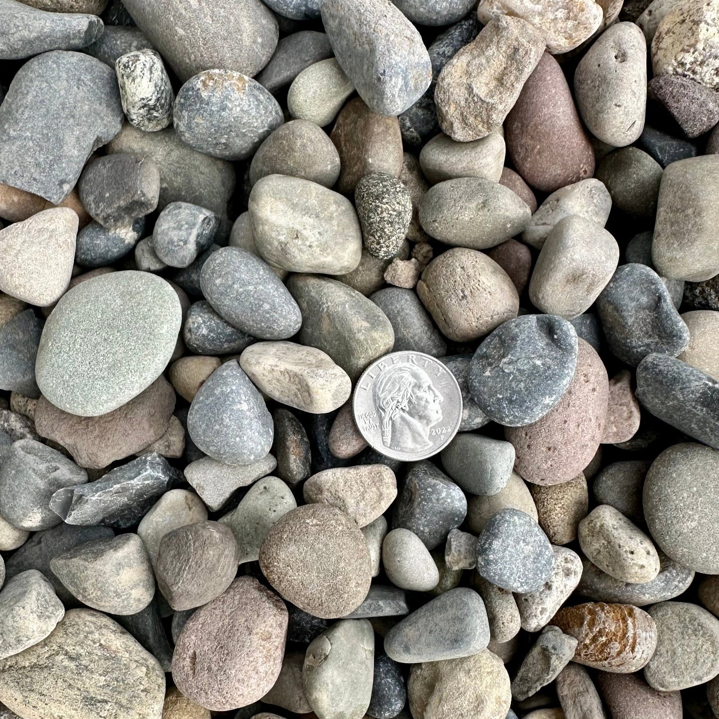 Brookstone 1"