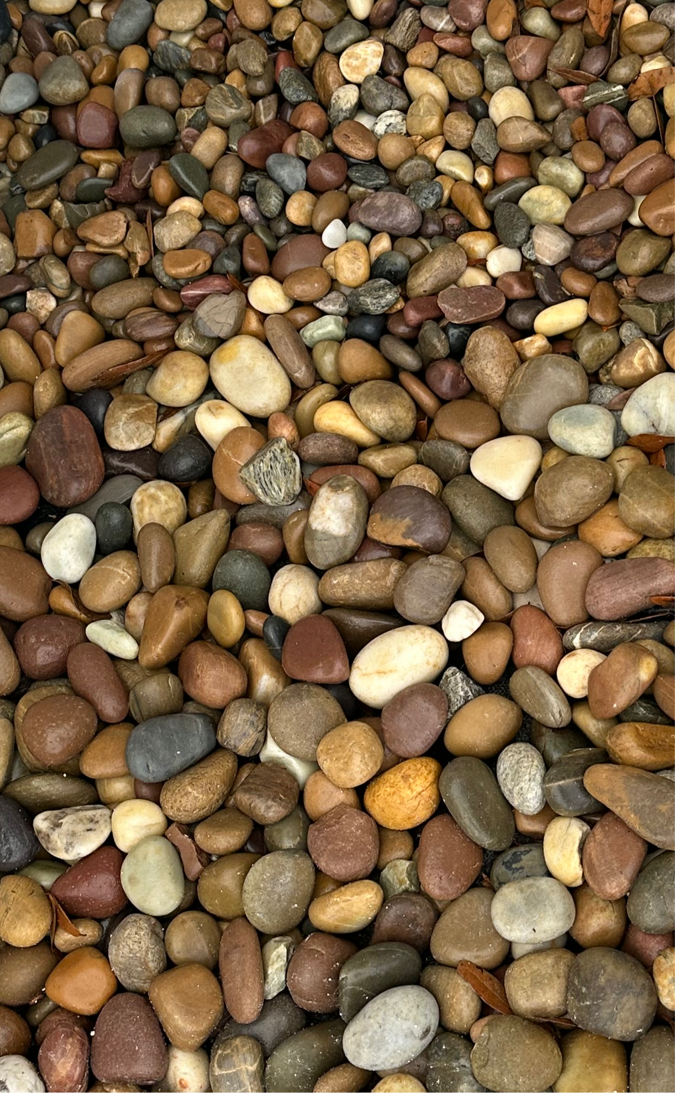 Amazon Mixed Beach Pebble 40lb Bag