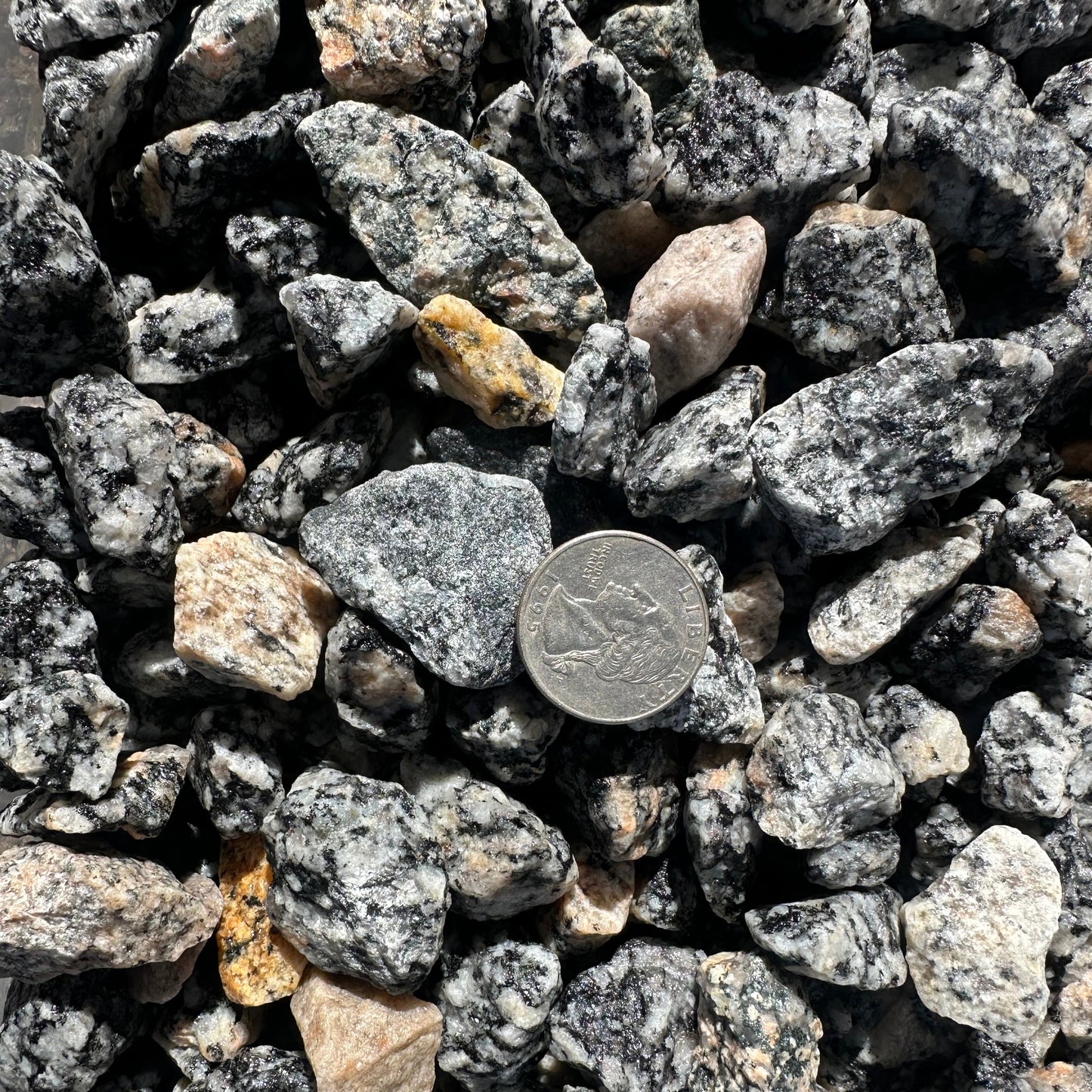 Salt and Pepper Granite 3/4"