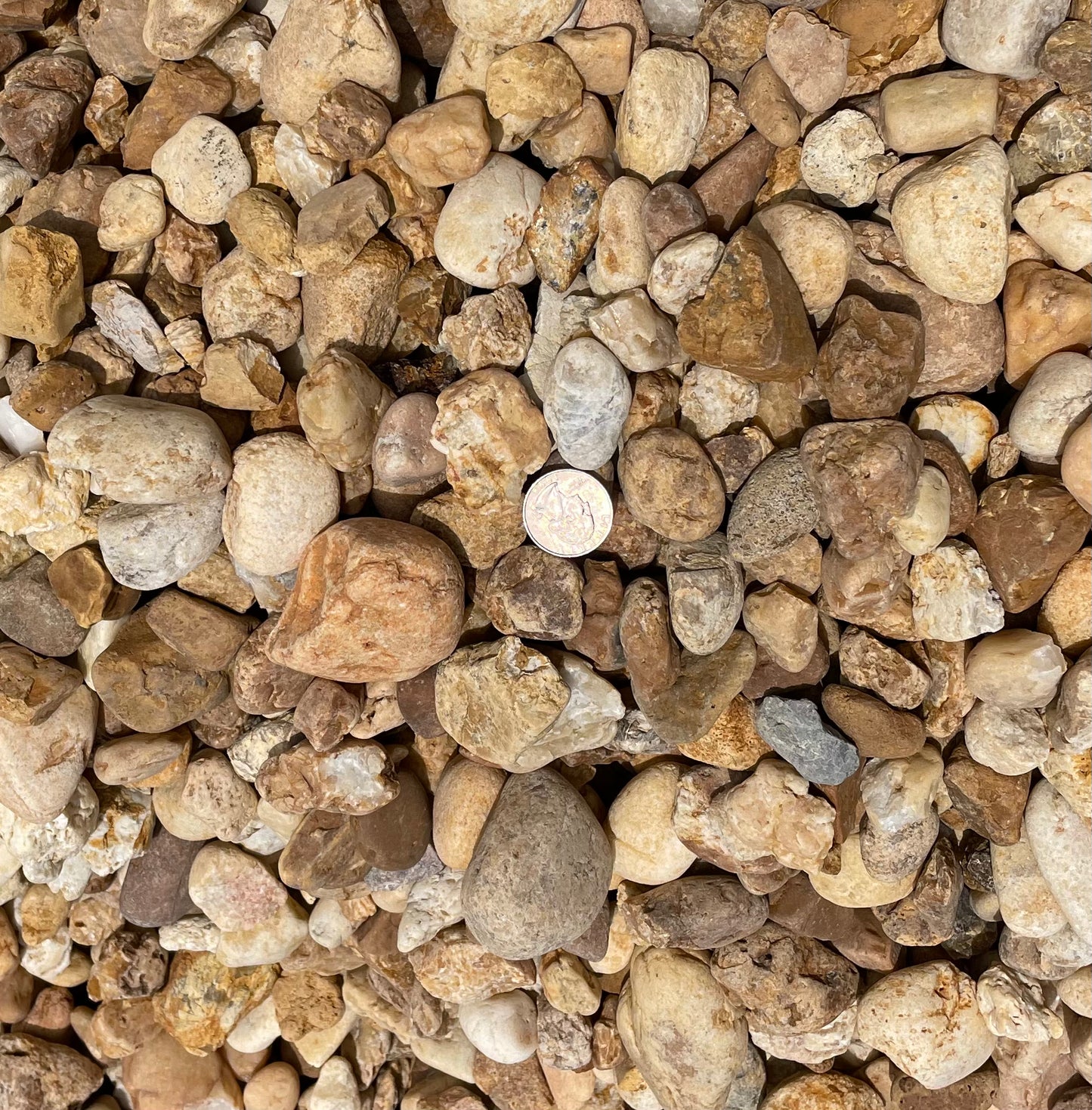 Brown River Rock 1.5"