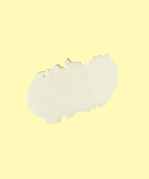 Sun Bum Original SPF 30 Sunscreen Lip Balm - Mango - FINAL SALE