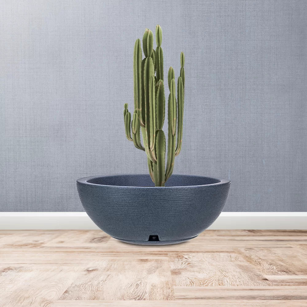 Amsterdam Bowl #11 Large Planter