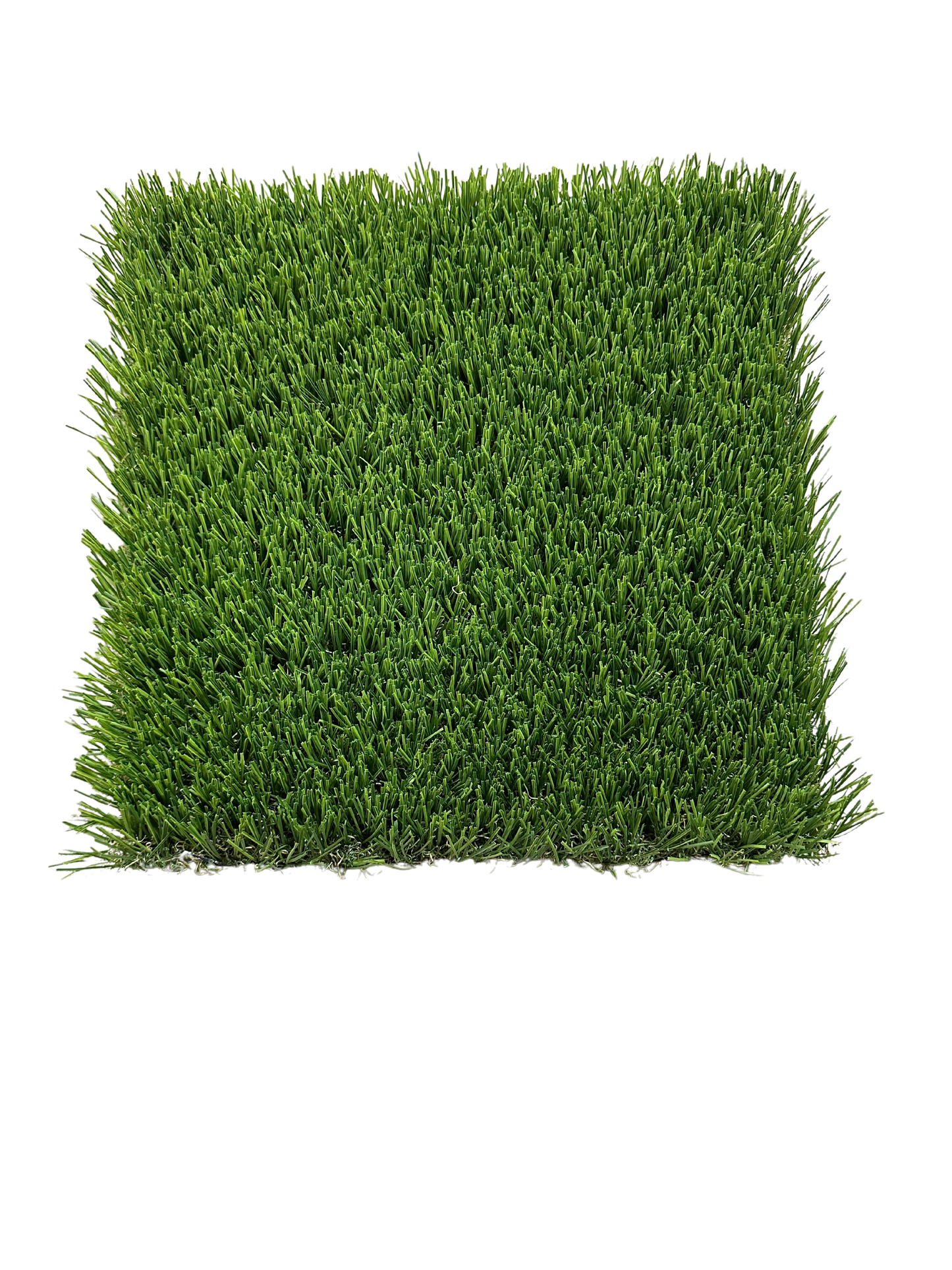 Pet Bright Artificial Turf