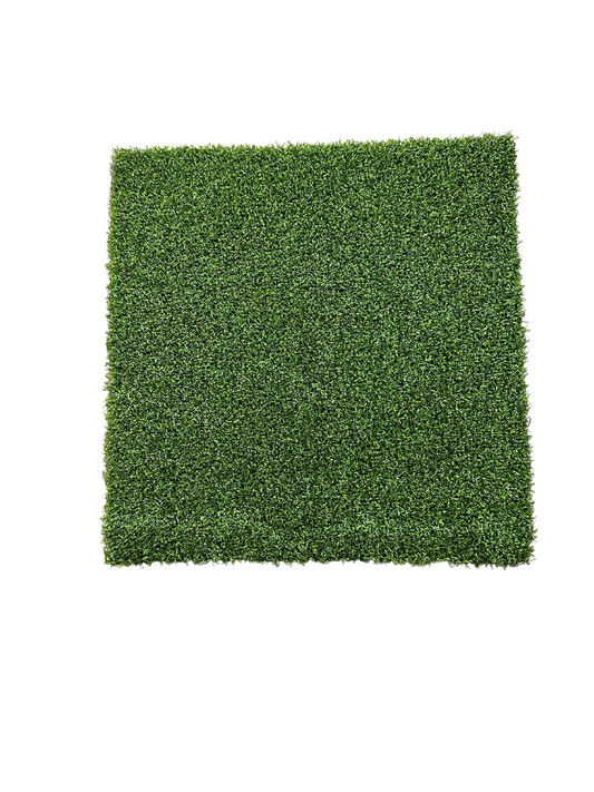 Putt Artificial Turf