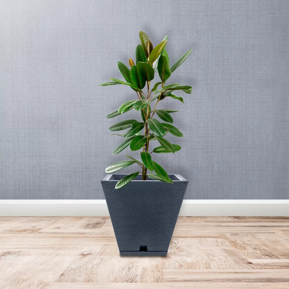 Zurique #1 Small Planter
