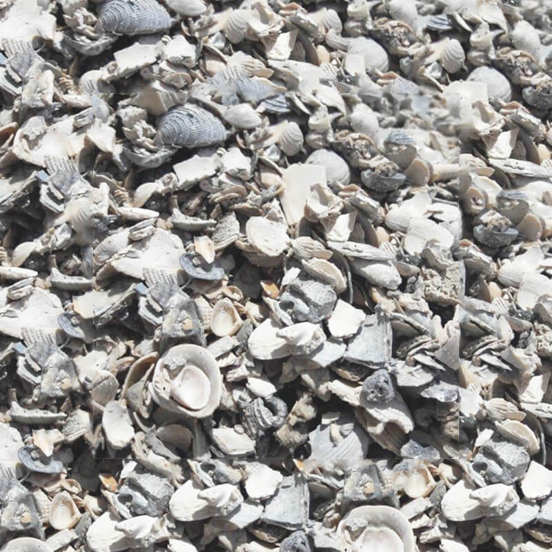 Washed Shell - Landscape Material In Tampa Bay