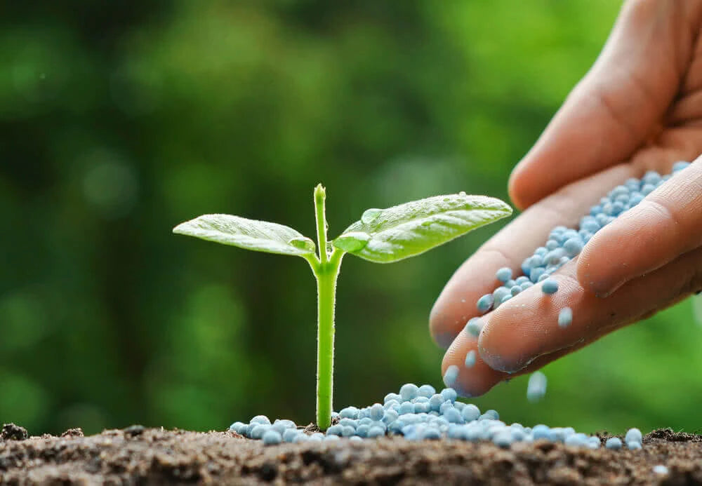 Fertilizer for plants