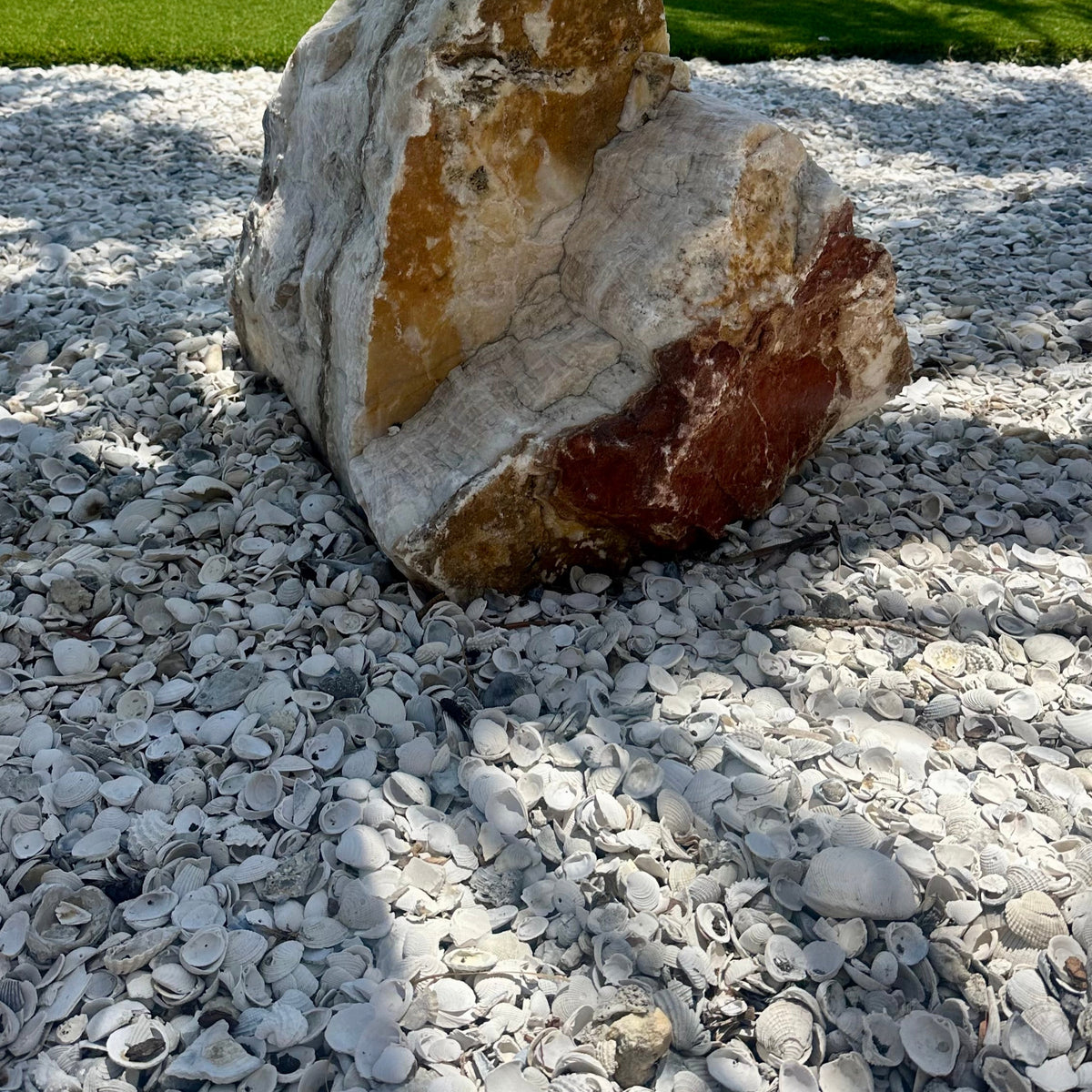Comercial Shell Rocks Medium Washed Shell 3/4