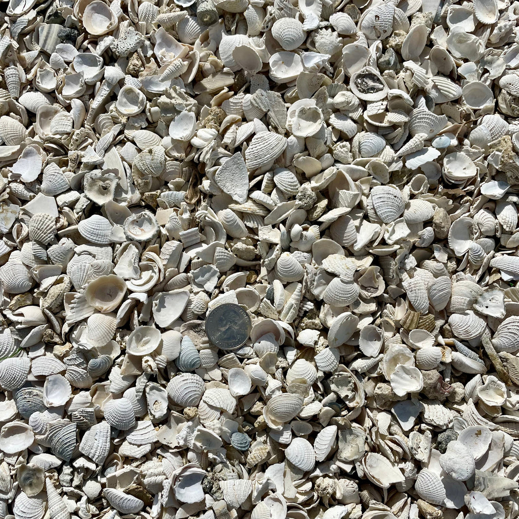 The Yard Shell Bulk Rock & Shell by the Yard – Tierra Supply Co