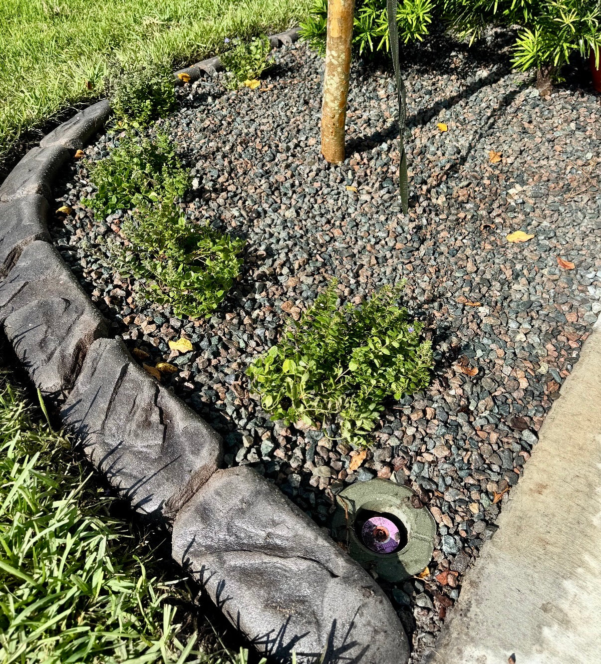 Tahitian Granite #57