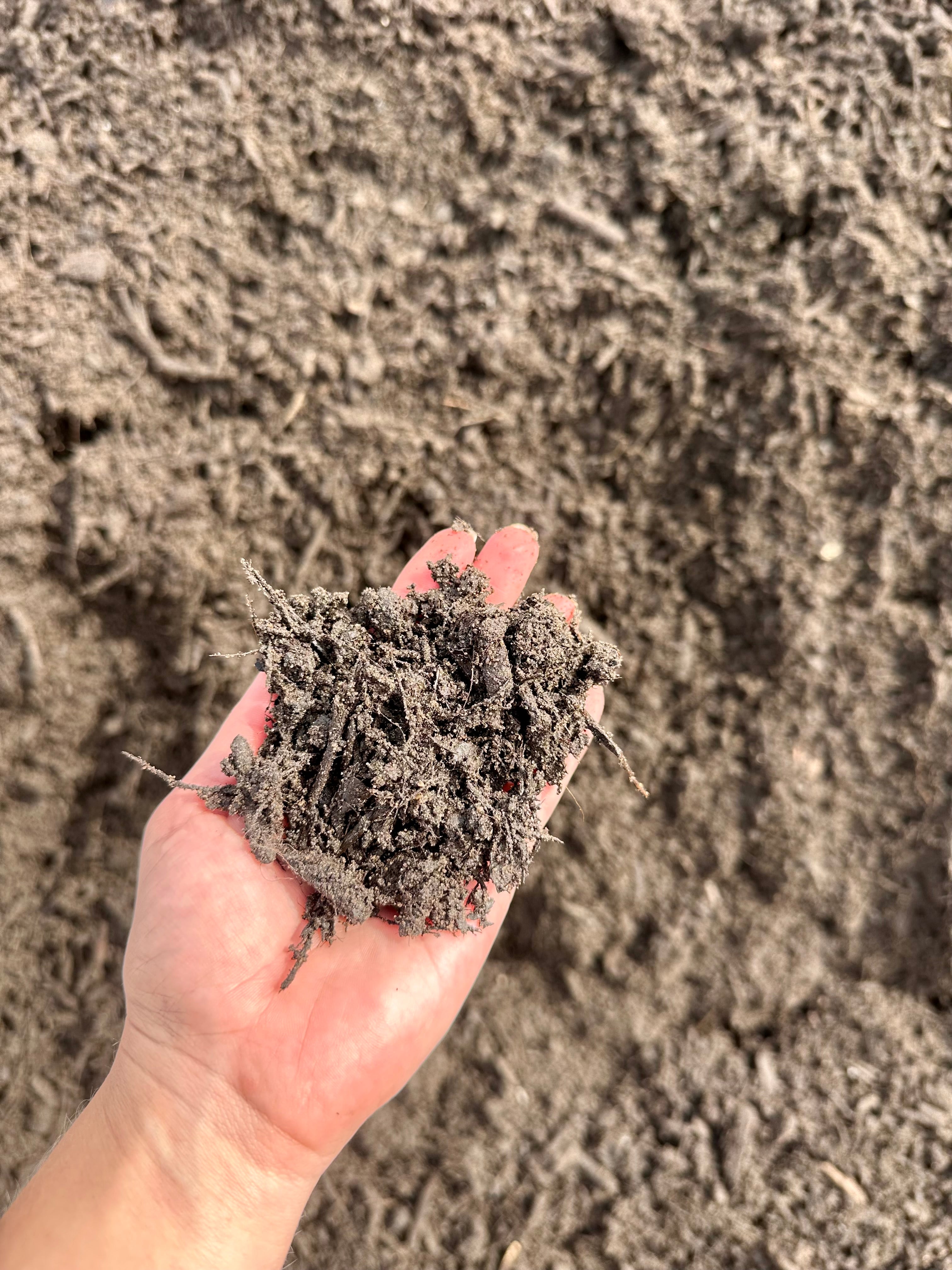 Bulk Rock & Shell by the Yard – Tierra Supply Co
