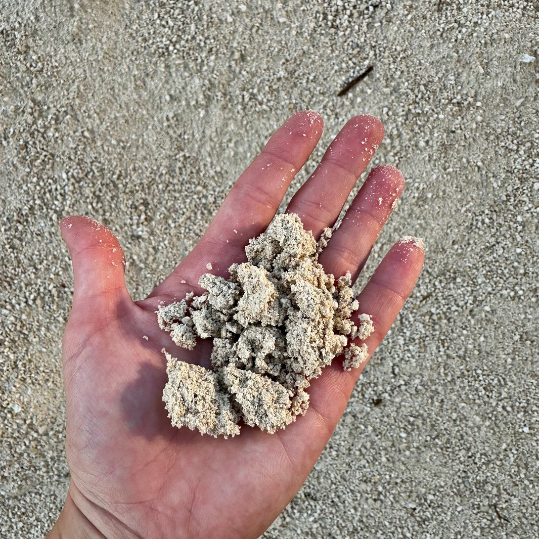 The Yard Shell Bulk Rock & Shell by the Yard – Tierra Supply Co