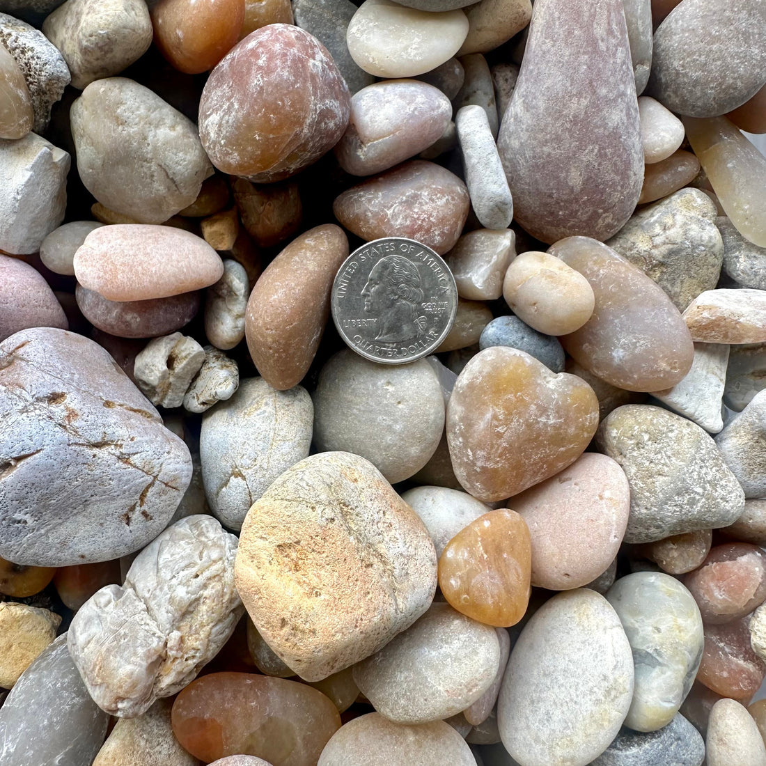 Rainbow River Rock 1.25