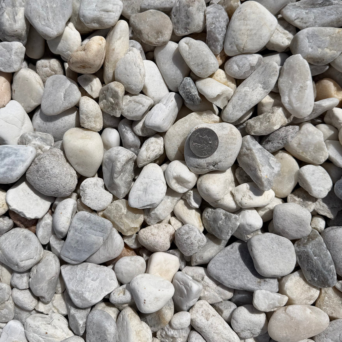 White River Rock 1.5"