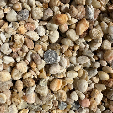 Comercial Shell Rocks Bulk Rock & Shell by the Yard – Tierra Supply Co