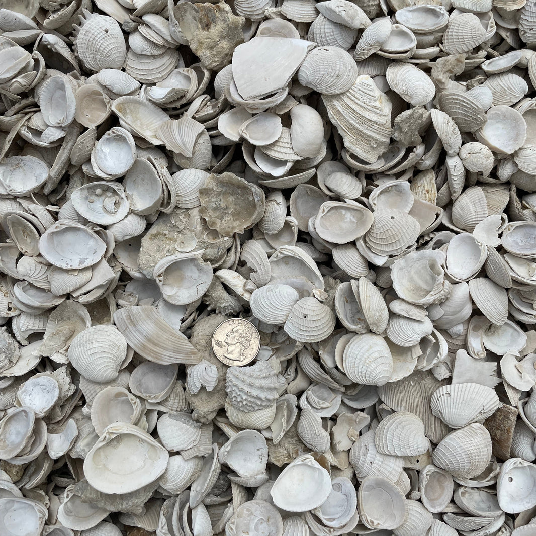 Bulk Rock & Shell by the Yard – Tierra Supply Co