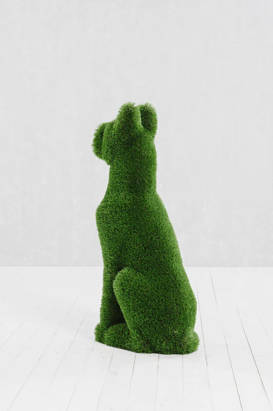 Dog Sitting Topiary