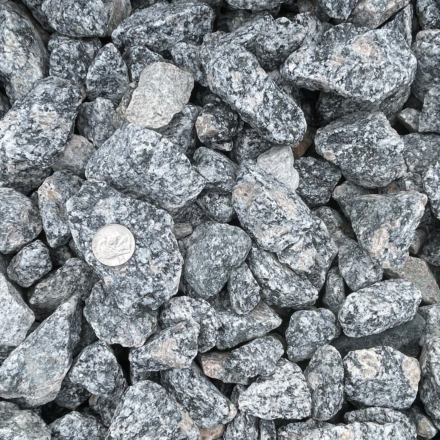 Salt and Pepper Granite 1.5"