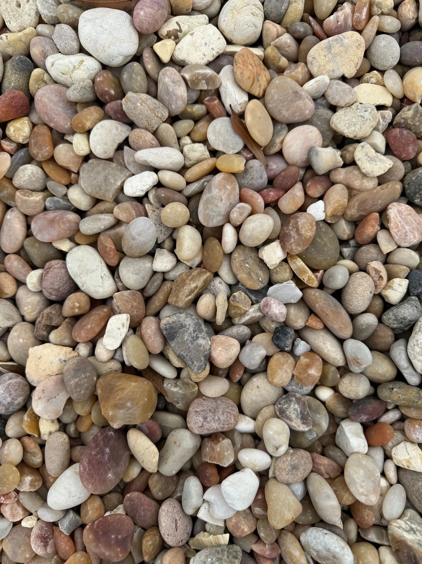 Rainbow River Rock 1.25"