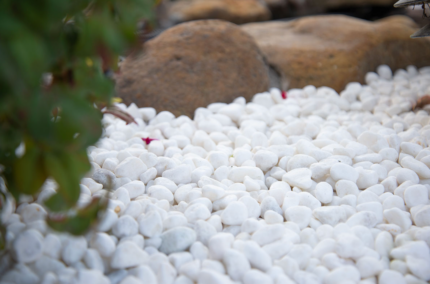 Santorini Premium White Pebbles Bolsas de 30 lb