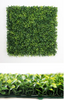 Artificial Ivy Wall Tierra Boxwood 20" x 20" - 12 Pieces Per Box