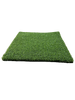Putt Artificial Turf